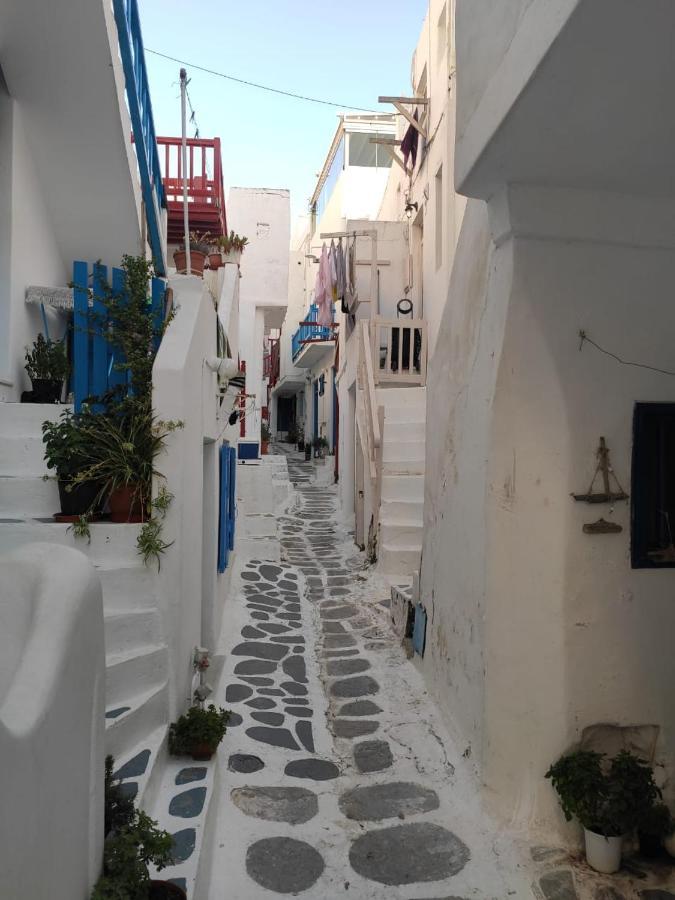 Bougainvillea Friends & Family Studio - Old Town Mykonos Town エクステリア 写真